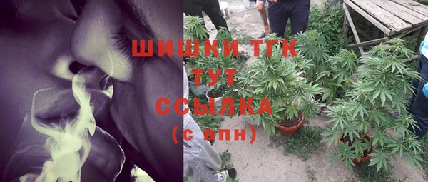 ГАЛЛЮЦИНОГЕННЫЕ ГРИБЫ Магас