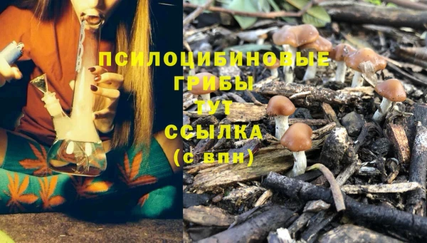 спайс Магадан
